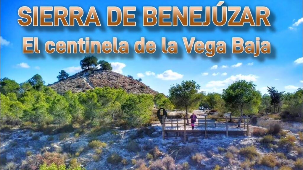 Descubre los Encantos de la Vega Baja del Segura: Guía Completa de Turismo y Actividades 1 Descubre los Encantos de la Vega Baja del Segura: Guía Completa de Turismo y Actividades